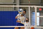 Volleyball vs RWU  Wheaton Women’s Volleyball vs Roger Williams University. : Volleyball, VB